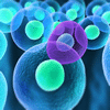 image-reagent-Stem Cell and Regenerative Medicine Research
